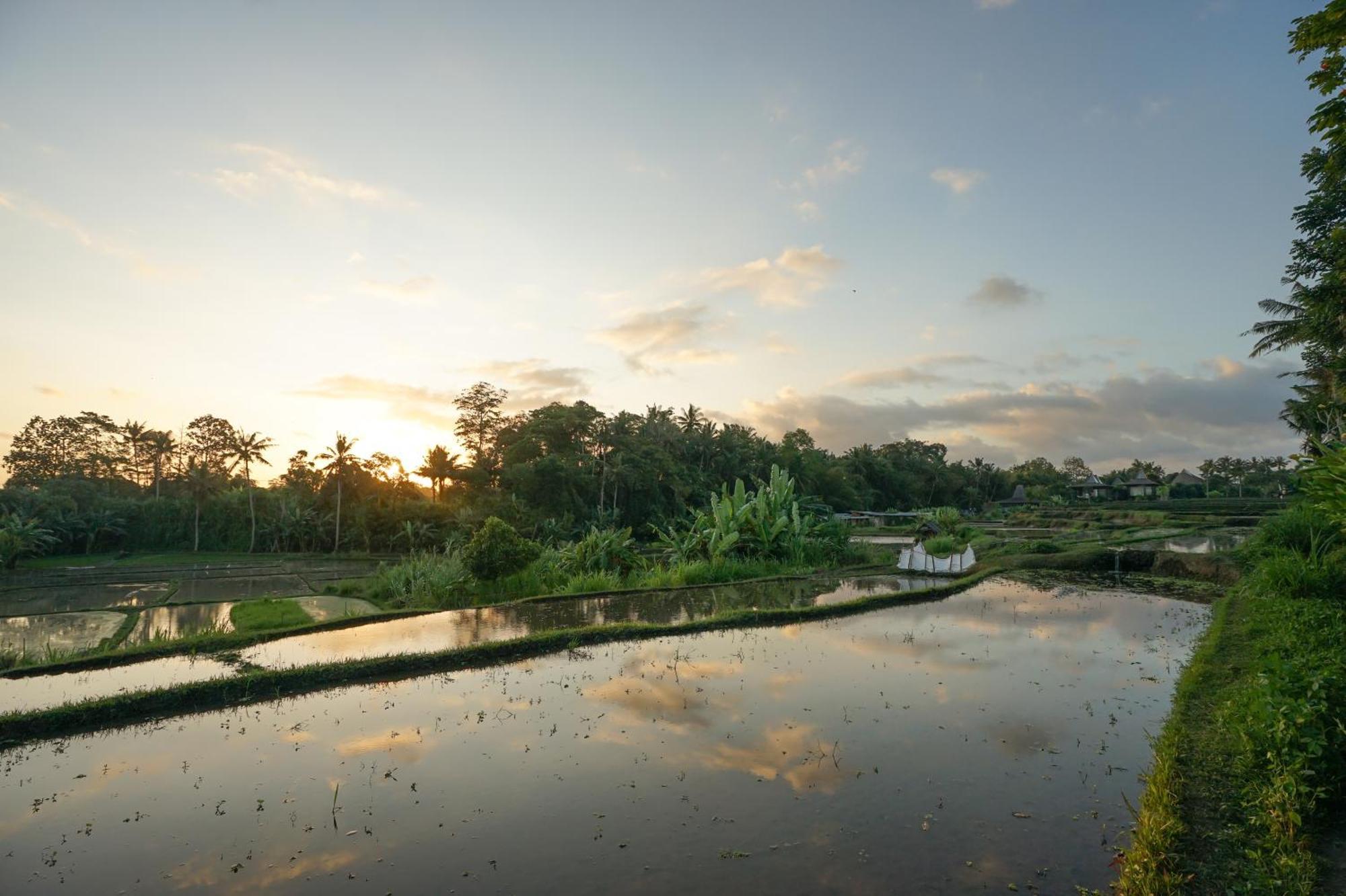 Art Taman liburan