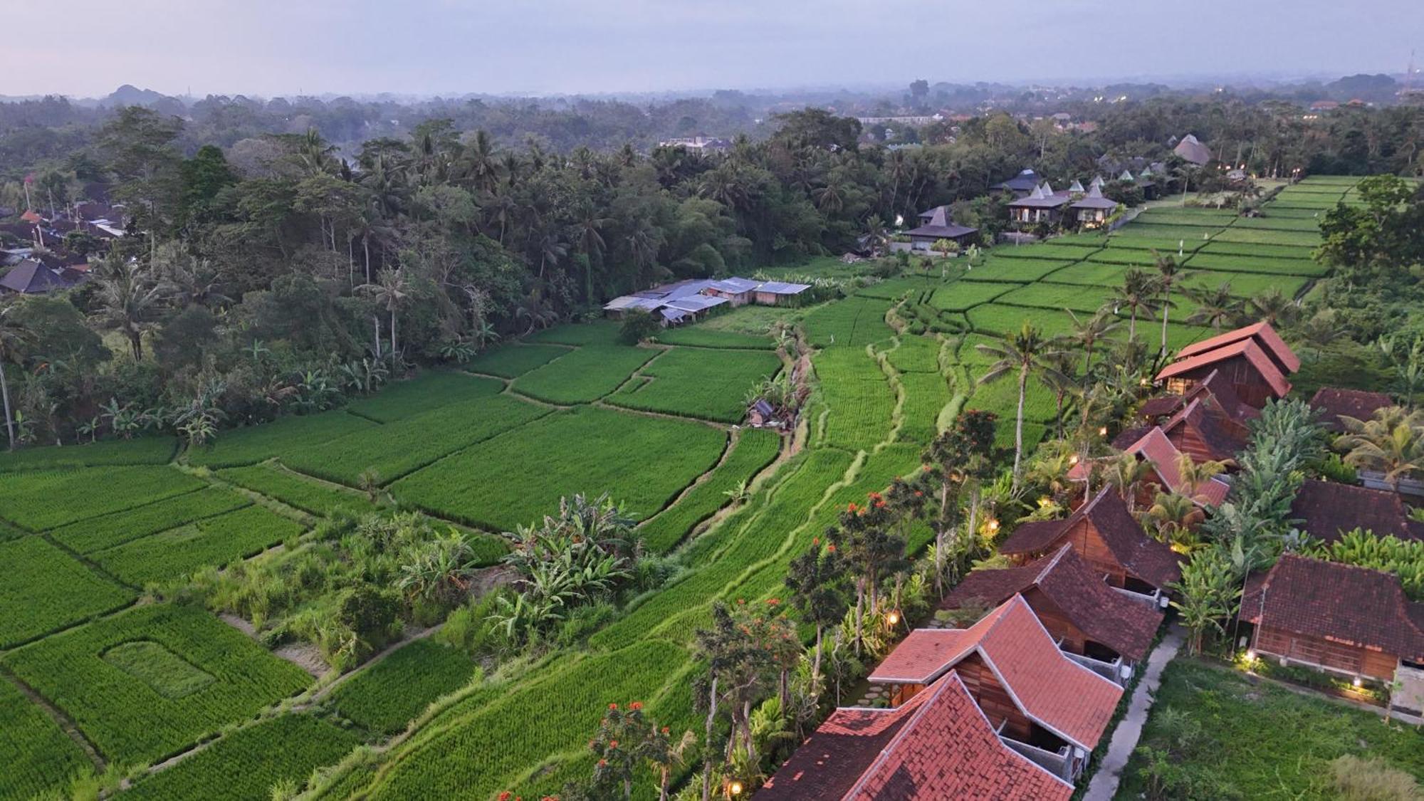 Art Taman liburan
