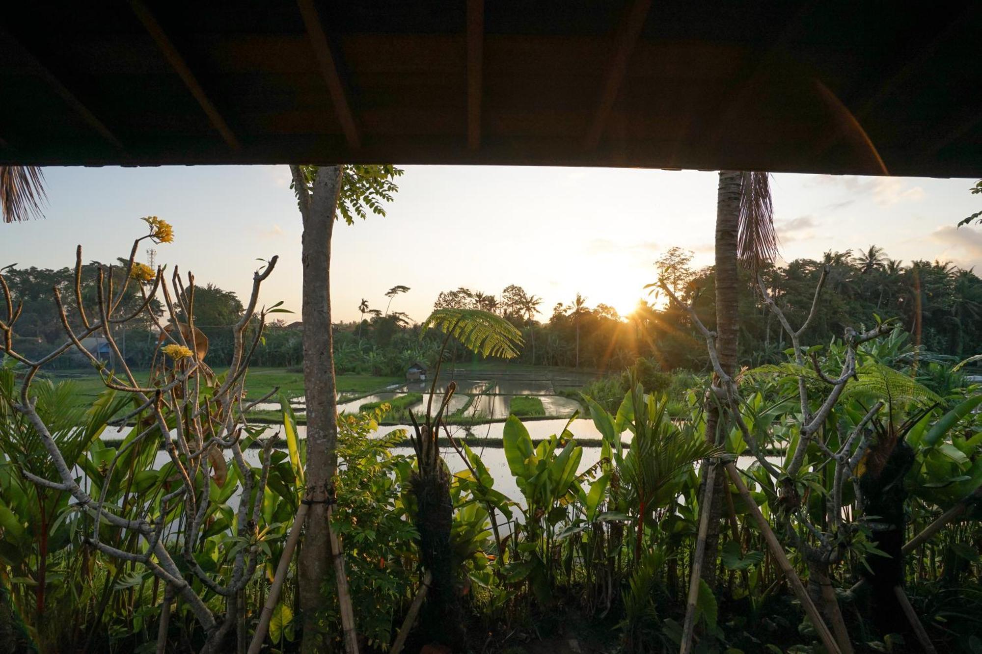 Art Ferienpark Ubud