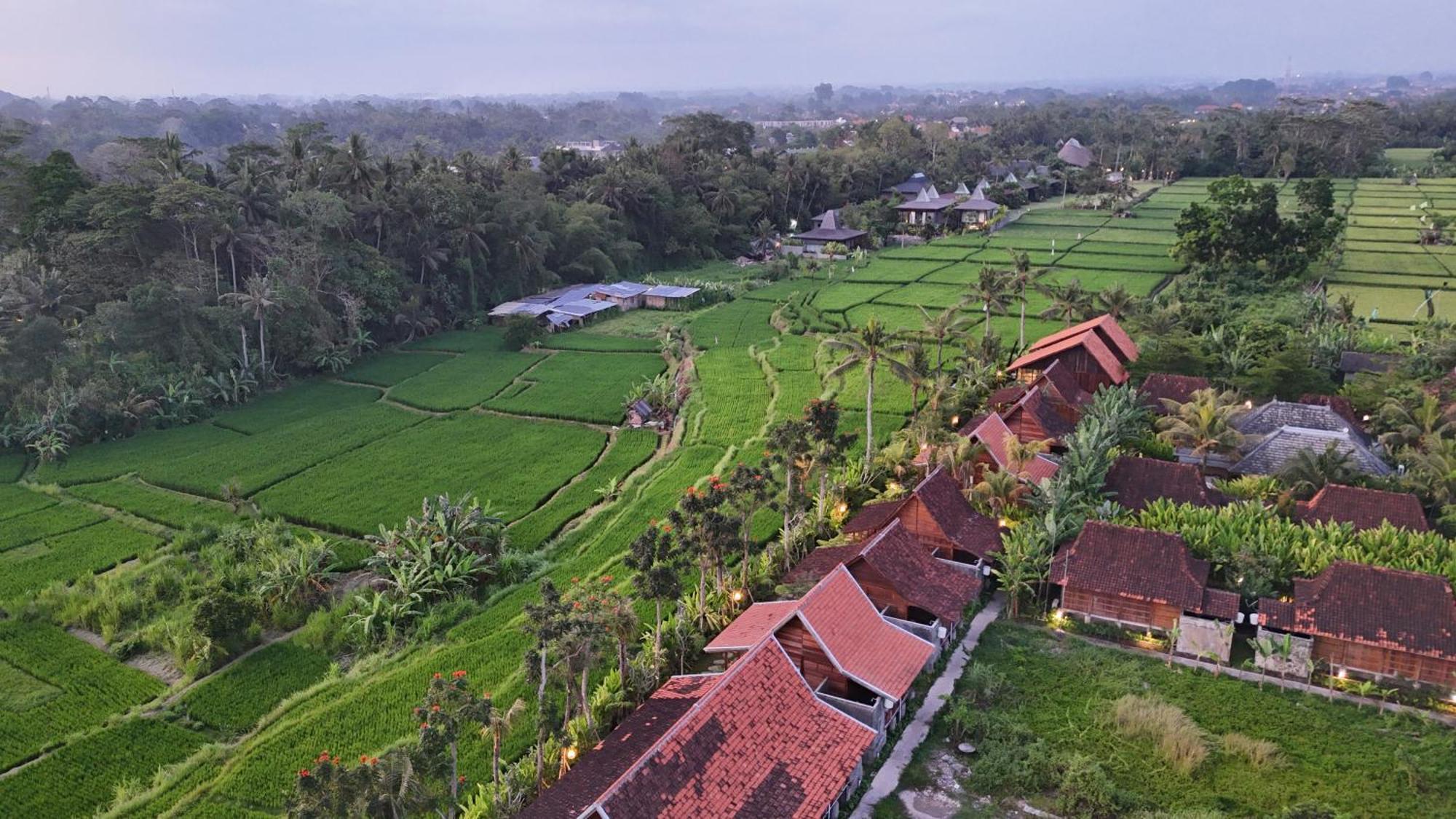 Ferienpark Art Ubud